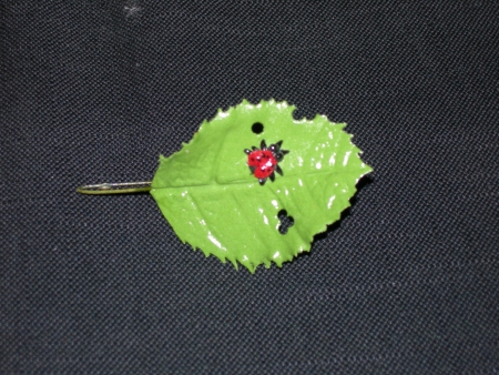 Sugar Ladybug on Leaf